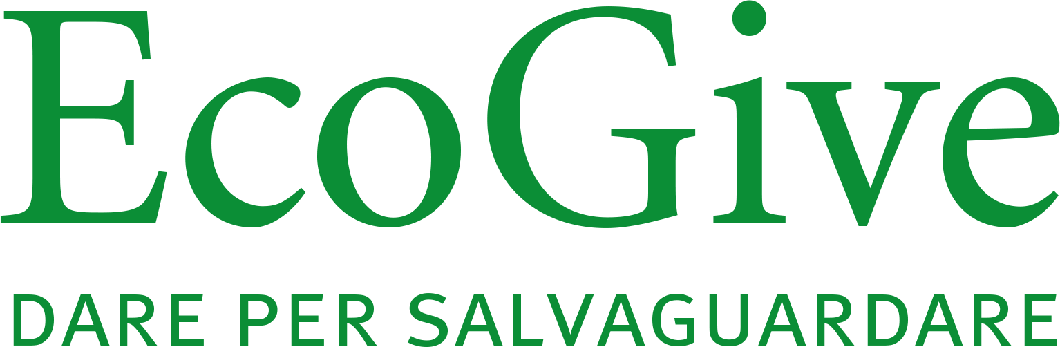 Logo EcoGive